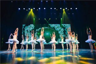 歌唱祖国 童心飞扬——少儿文艺演出圆满落幕