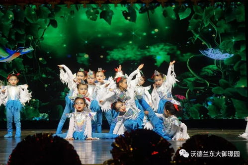 天使的祝愿 大型文艺汇演圆满落幕，演艺盛典展现非凡魅力
